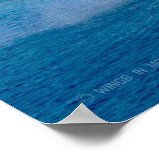 AMPHIBIOUS ASSAULT SHIP - LHD-8 POSTER (Hoek)