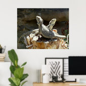 Amphion en Zethus Poster (Thuiskantoor)