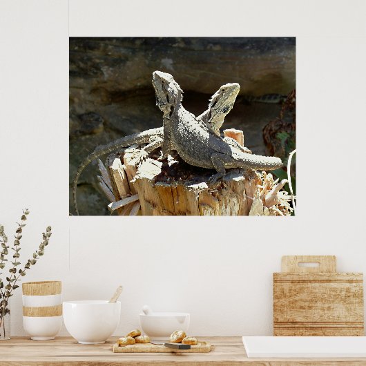 Amphion en Zethus Poster (Keuken)