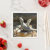 Amphion en Zethus Servet (Insitu)