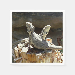 Amphion en Zethus Servet