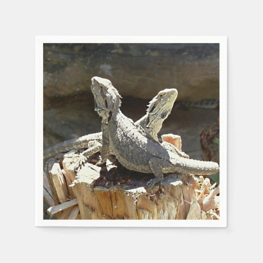 Amphion en Zethus Servet (Voorkant)