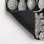 "Amphoridea; of sterrendieren" Muismat (Hoek)