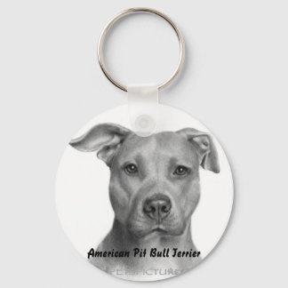 AMPT-sleutelketen Sleutelhanger