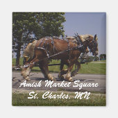 AMS MAGNEET (Voorkant)