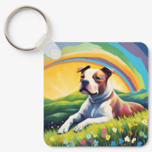 Amstaff Amerikaanse Staffordshire Terrier Regenboo