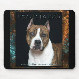 Amstaff No BSL Muismat