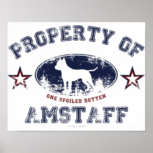 Amstaff Poster (Voorkant)