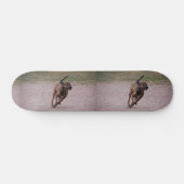 Amstaff running persoonlijk skateboard (Horizontaal)