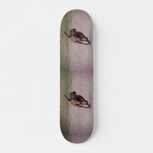 Amstaff running persoonlijk skateboard