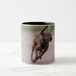 Amstaff running tweekleurige koffiemok