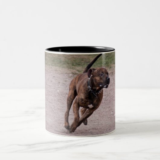 Amstaff running tweekleurige koffiemok (Center)