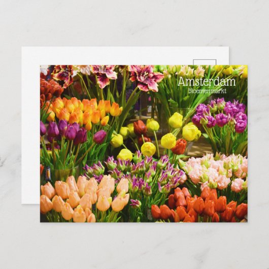 Amsterdam - aanloopmarkt briefkaart (Voorkant / Achterkant)