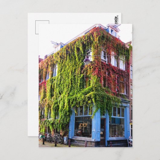 Amsterdam Autumn Wines Architecture Briefkaart (Voorkant / Achterkant)