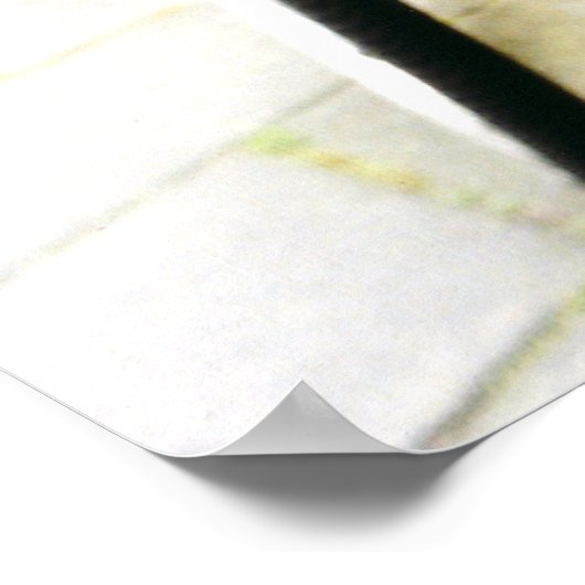 Amsterdam Bike Poster (Hoek)