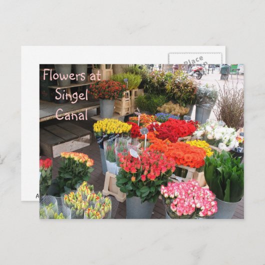 Amsterdam bloemen briefkaart (Voorkant / Achterkant)