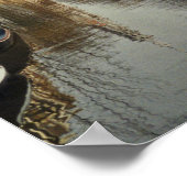 Amsterdam Canal Poster (Hoek)