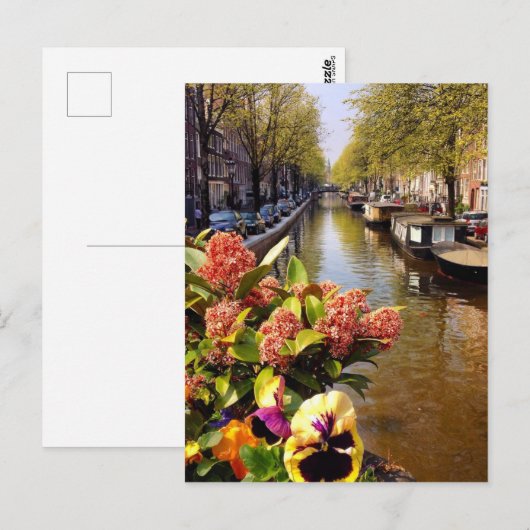 Amsterdam Canal Sunny Herfst Day Bloemgracht Briefkaart (Voorkant / Achterkant)