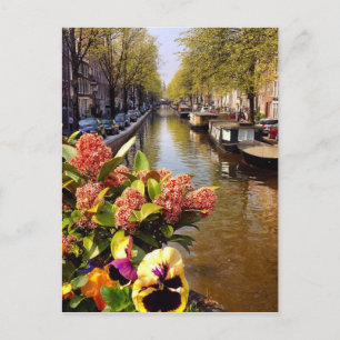 Amsterdam Canal Sunny Herfst Day Bloemgracht Briefkaart