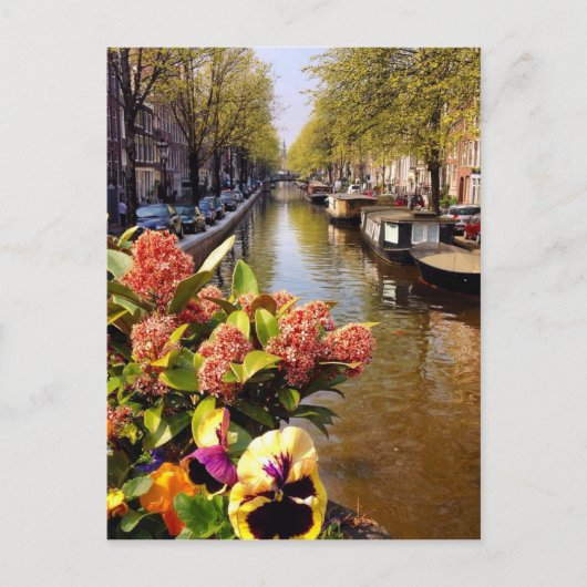 Amsterdam Canal Sunny Herfst Day Bloemgracht Briefkaart (Voorkant)