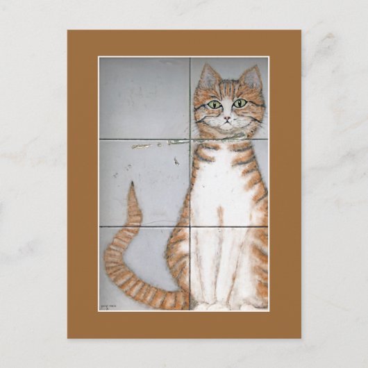 Amsterdam Cat Briefkaart (Voorkant)