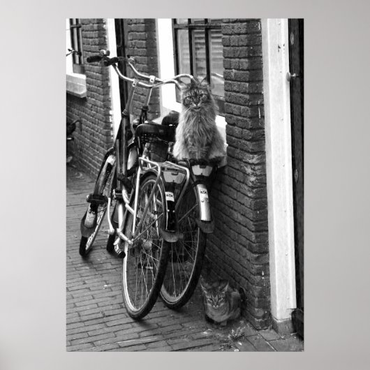 Amsterdam Cats on Bicycles Black & White Photo Poster (Voorkant)