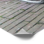 Amsterdam Cats on Bicycles Photo Poster (Hoek)