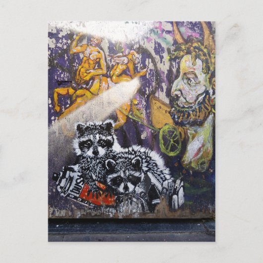 Amsterdam Graffiti Street Art Nr. 1 - Raccoon Briefkaart (Voorkant)