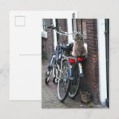 Amsterdam katten op fietsen briefkaart (Voorkant / Achterkant)