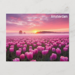 Amsterdam Nederland Nederlandse Tulpen Reisfoto Briefkaart