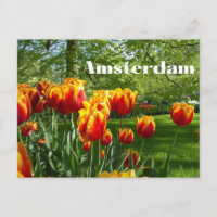 Amsterdam Oranje Tulpen - Botanische tuin