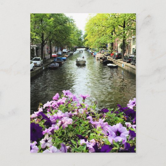 Amsterdam Summer Canal Briefkaart (Voorkant)