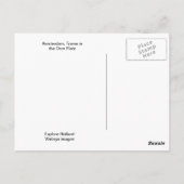  Amsterdam, Trams in de Dom Plat Briefkaart (Achterkant)