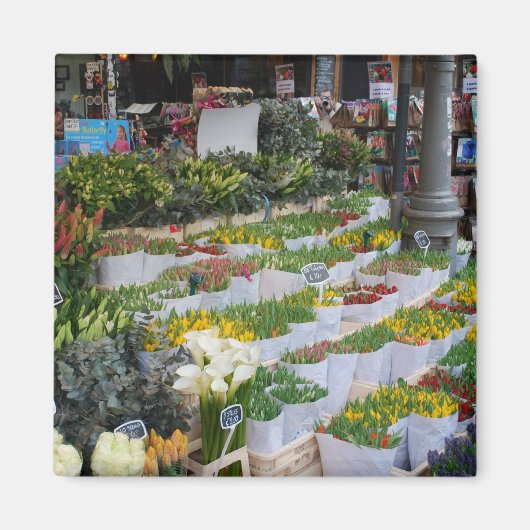 Amsterdam Tulip-markt Magneet (Voorkant)