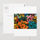 Amsterdam Tulpen Briefkaart (Voorkant / Achterkant)