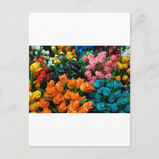 Amsterdam Tulpen Briefkaart (Voorkant)