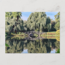 Amsterdam Wilgenvijver Briefkaart