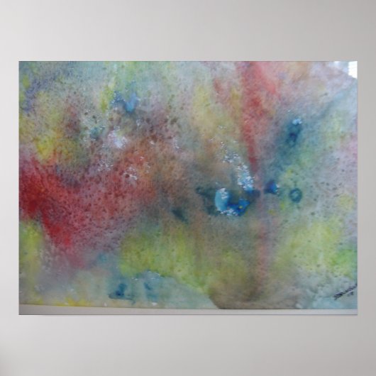 Amtrak Pics 044 Poster (Voorkant)