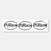 AmuDarya Sturgeon Euro Stickers (Voorkant)