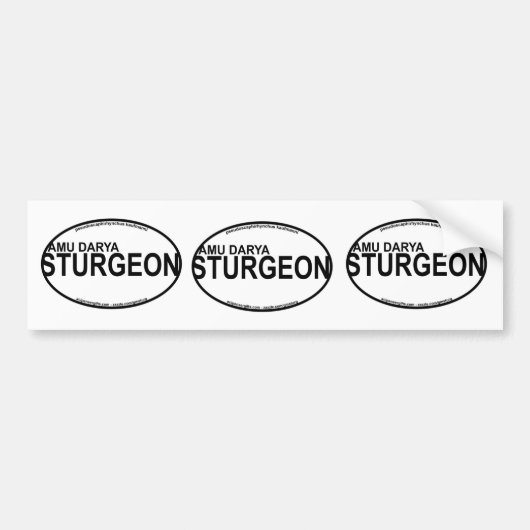 AmuDarya Sturgeon Euro Stickers (Voorkant)