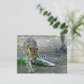 Amur Leopard Briefkaart (Staand voorkant)