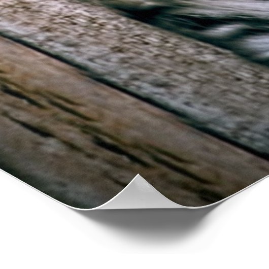 Amur Leopard Exotic Zoo Animal Poster (Hoek)