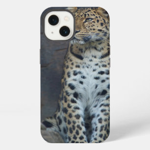 Amur Leopard iPhone 6 Hoesje iPhone 13 Hoesje