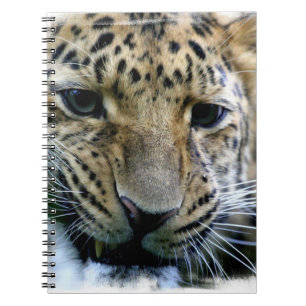 Amur Leopard-laptop Notitieboek