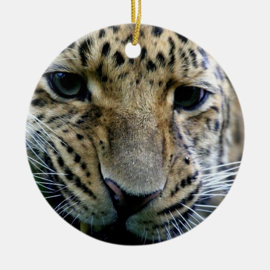Amur Leopard Ornaments Keramisch Ornament (Voorkant)