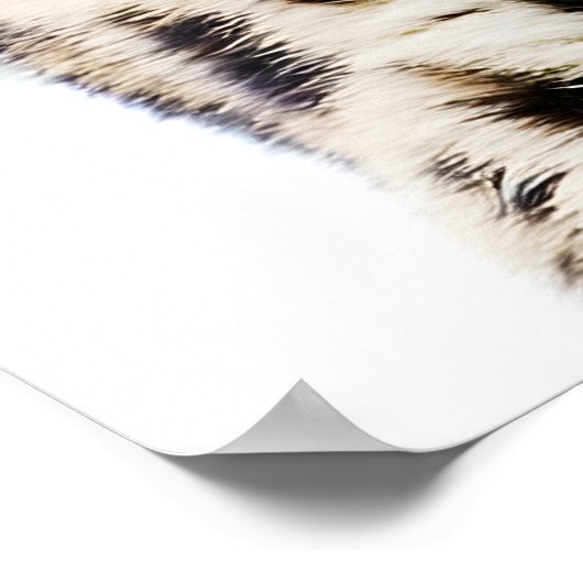 Amur Leopard Poster (Hoek)