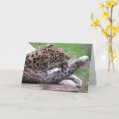 Amur Leopard Wenskaart Kaart (Gele Bloem)