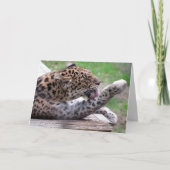 Amur Leopard Wenskaart Kaart (Voorkant)