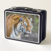 Amur Tiger (Achterkant)