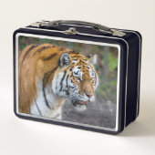 Amur Tiger (Voorkant)